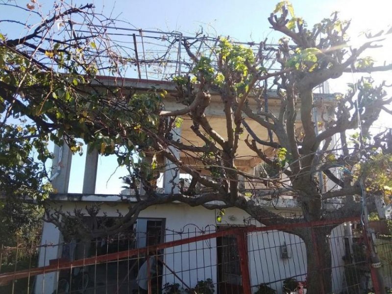 Vlacheronitissa Kreta, Vlacheronitissa: Altes Haus mit Betonrahmen und schönem Garten zum Verkauf - Rohbau Haus kaufen